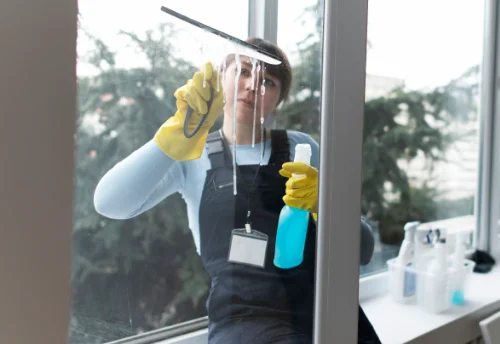 Nettoyage de vitres intérieures et extérieures à Perrouse